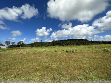 Land