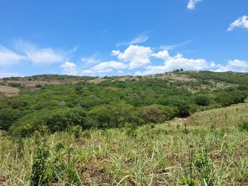 Land