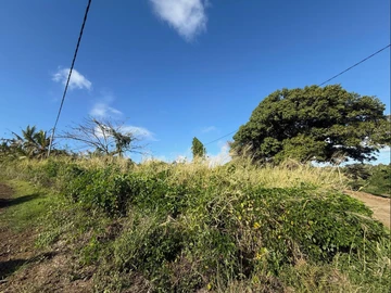 Land