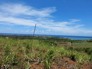 Land
