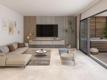 3 Bedroom Penthouse