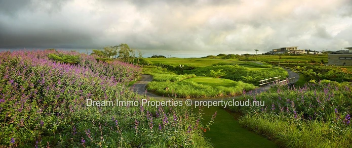 Huge Residential Lands With Golf Views In Bois Chéri - Mauritius