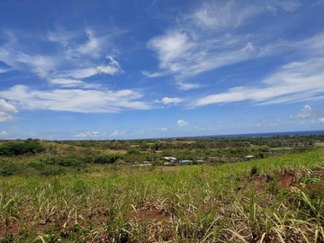 Land