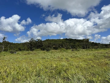 Land