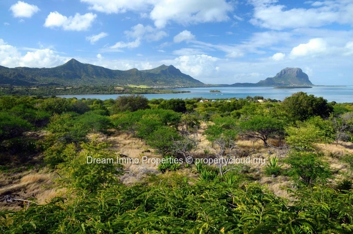 Superbes Villas 3 Ch Sur Un Beau Golf 18 Trous A Riviere Noire - Ile Maurice