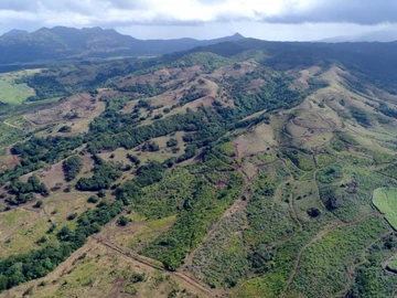 Residential Land